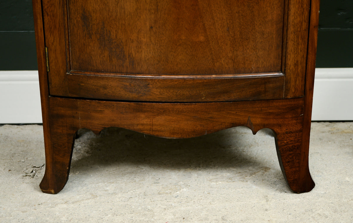Georgian Mahogany Hall Robe / Single Wardrobe / Coat Storage