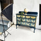 Stunning decorated chest of drawers - gothic creatures design