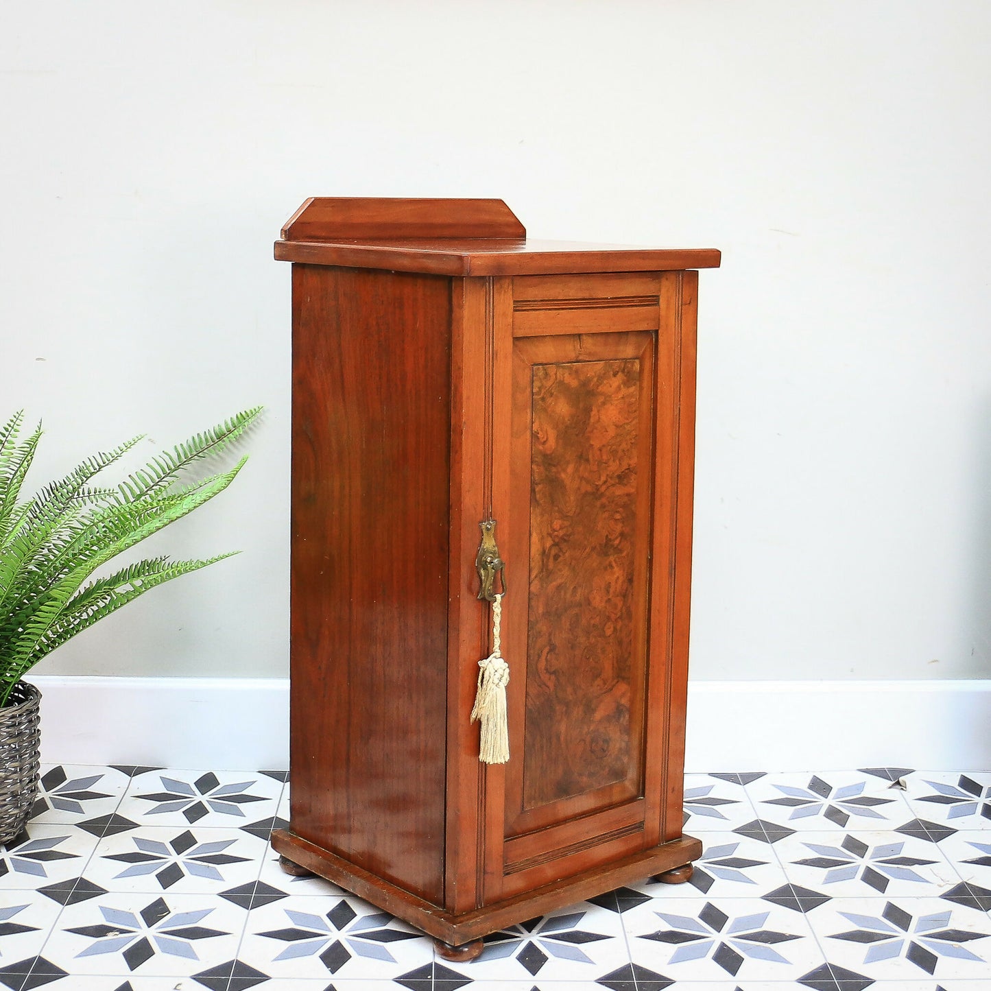 Antique Bedside Cabinet Pot Cupboard Late Victorian Mahogany and Burr Walnut