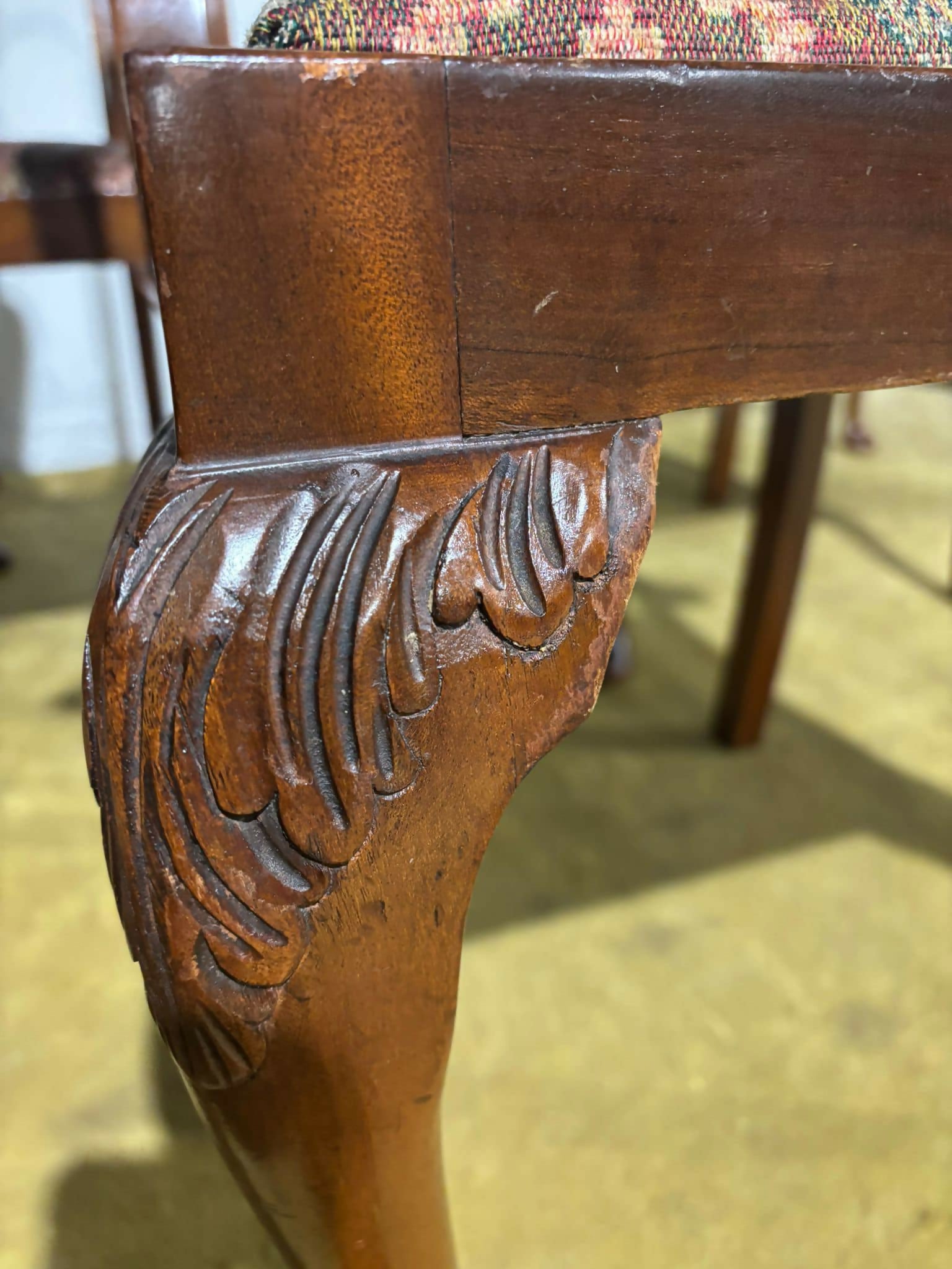 Vintage Burr Walnut Veneered Set Of Five Dining Chairs5