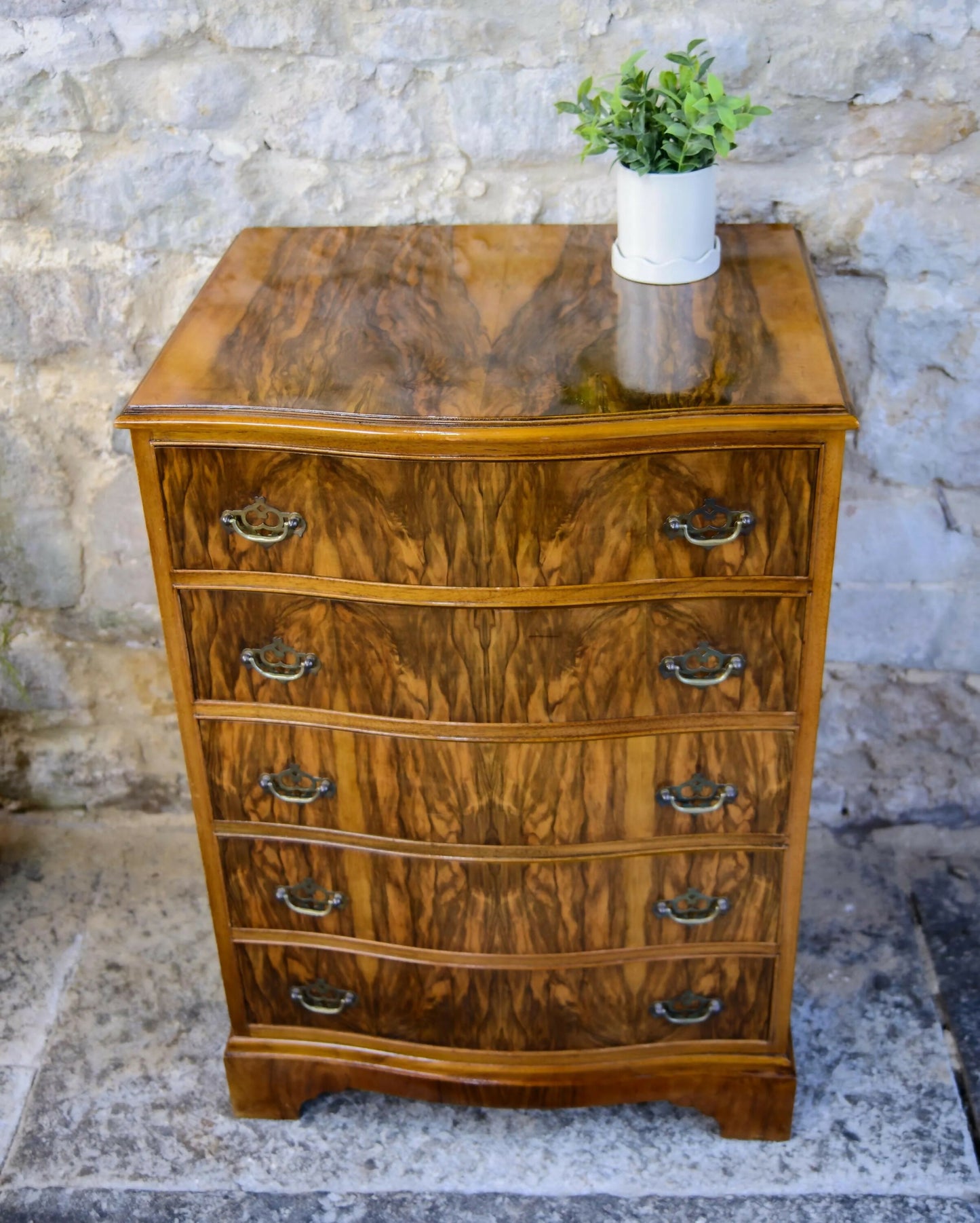 Regency Style Walnut Chest of Drawers - Serpentine Front