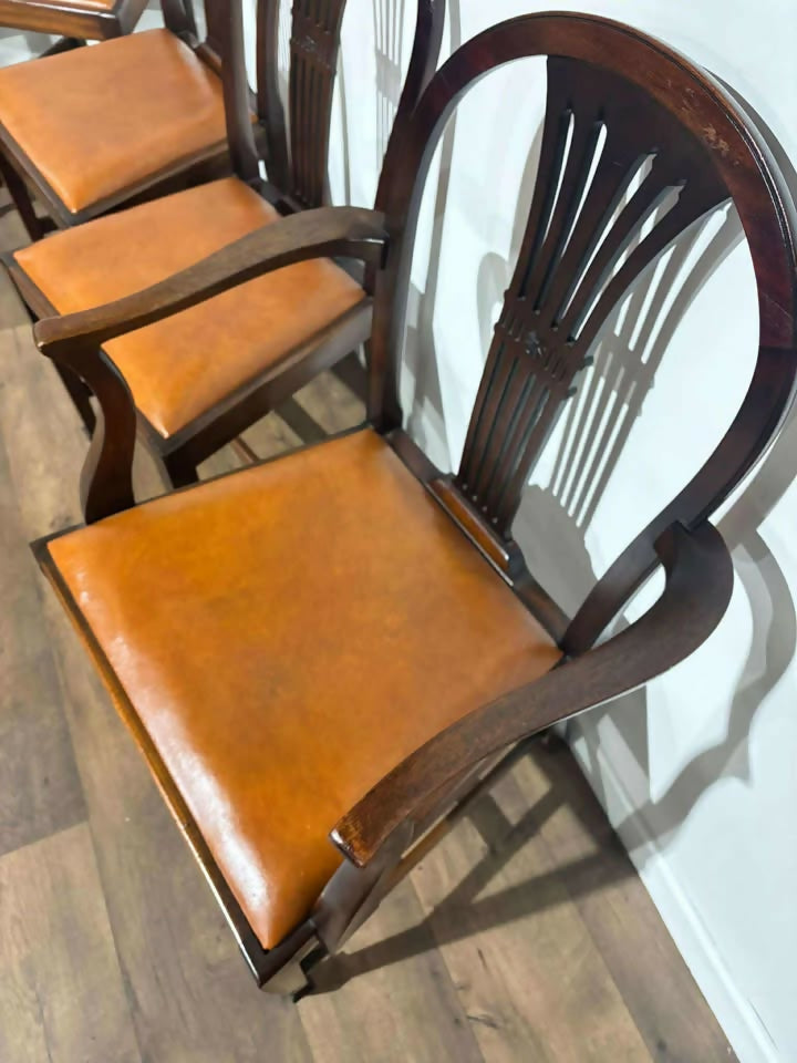 Set of Six Vintage Mahogany Dining Chairs - two of which are carvers.