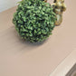 Stag Minstrel Chest of Drawers in pink