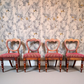 Set of Four Antique Victorian Mahogany Balloon Back Dining Chairs