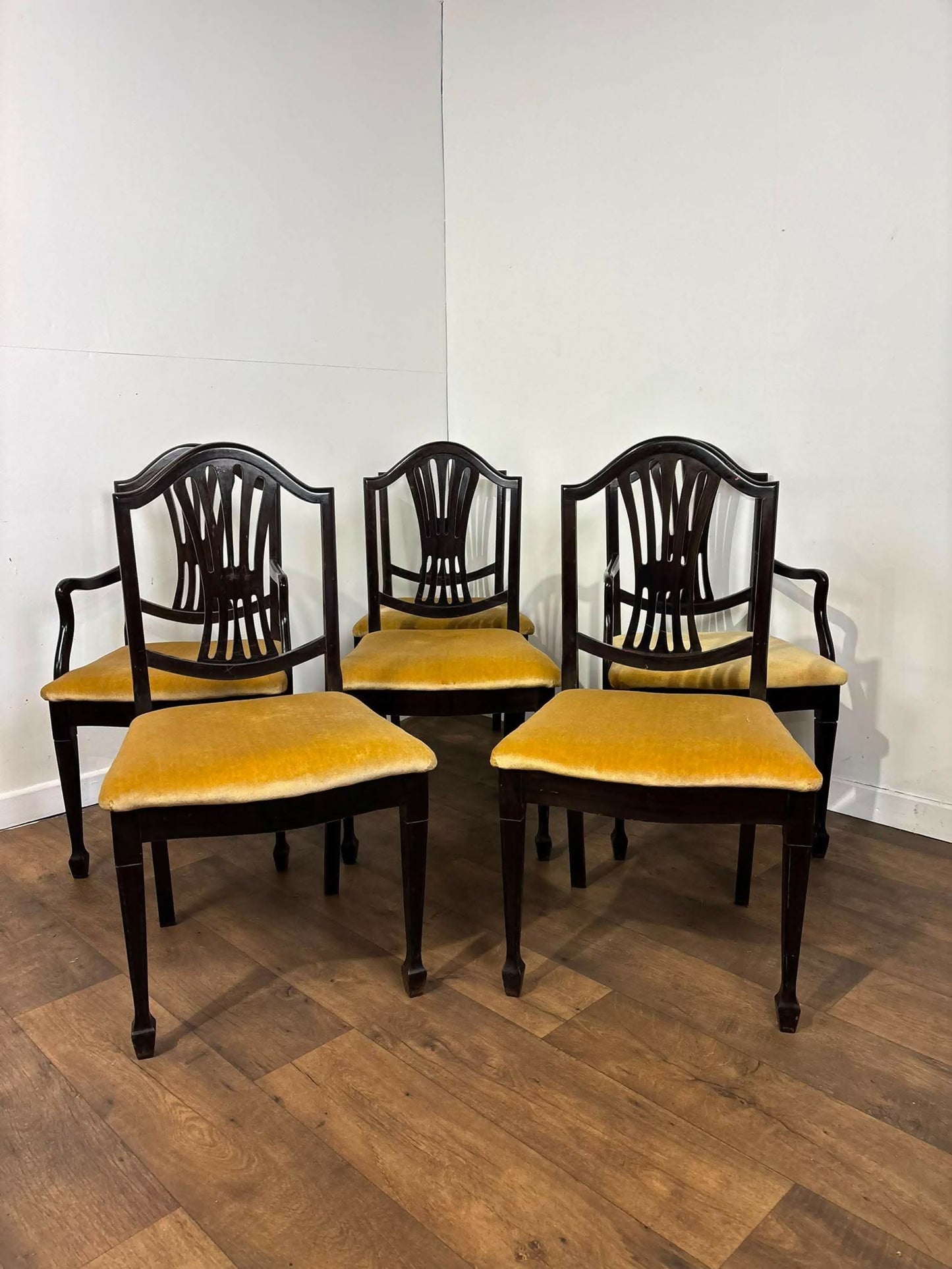 Set of Six Upholstered Mahogany Dining Chairs with Pierced Splat Backs (2 Carvers & 4 Side Chairs)