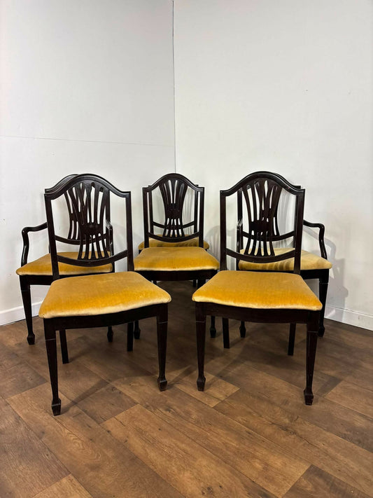 Set of Six Upholstered Mahogany Dining Chairs with Pierced Splat Backs (2 Carvers & 4 Side Chairs)