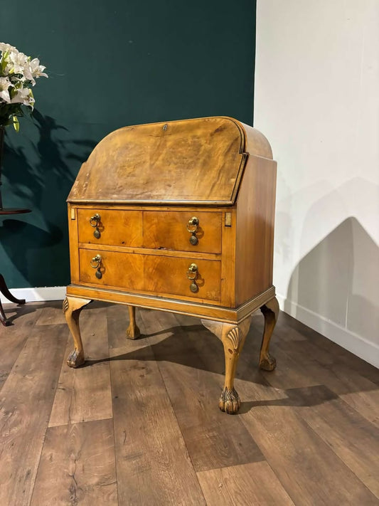 Vintage Burr Walnut Bureau3