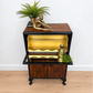 Refurbished Petit Art Deco Burl Walnut Cocktail Cabinet, black and gold drinks cabinet