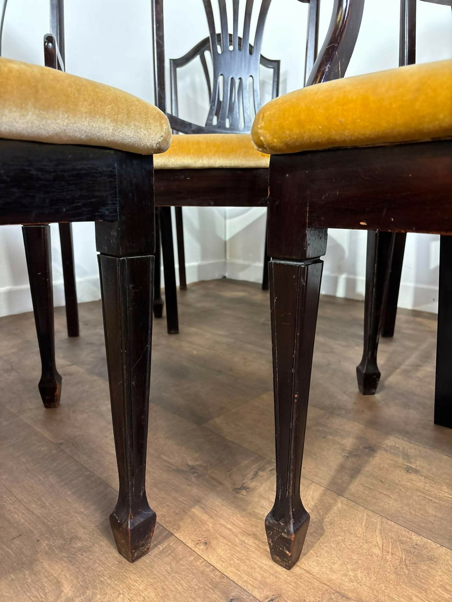 Set of Six Upholstered Mahogany Dining Chairs with Pierced Splat Backs (2 Carvers & 4 Side Chairs)