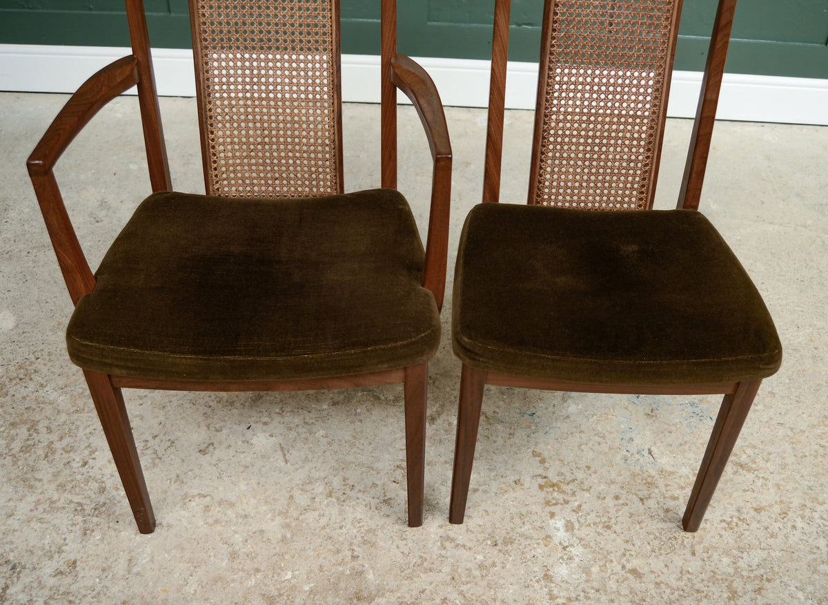 8 x G Plan Cane Bergere Dining Chairs - 1960s - 1970s