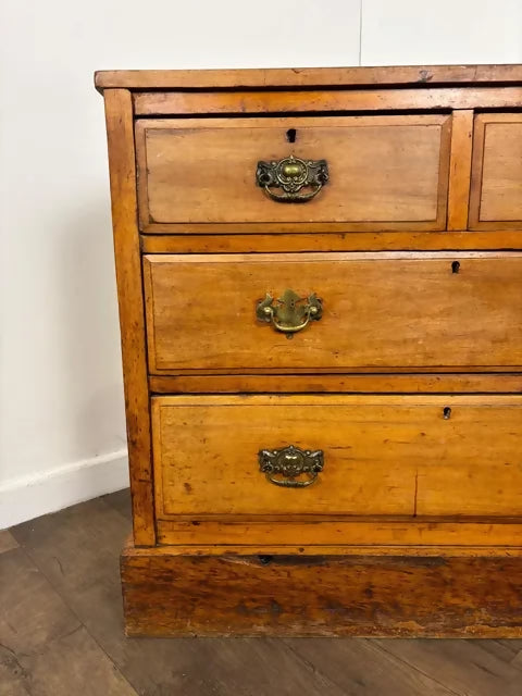 Edwardian Satinwood Chest Of Drawers