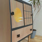 Record Cabinet_09