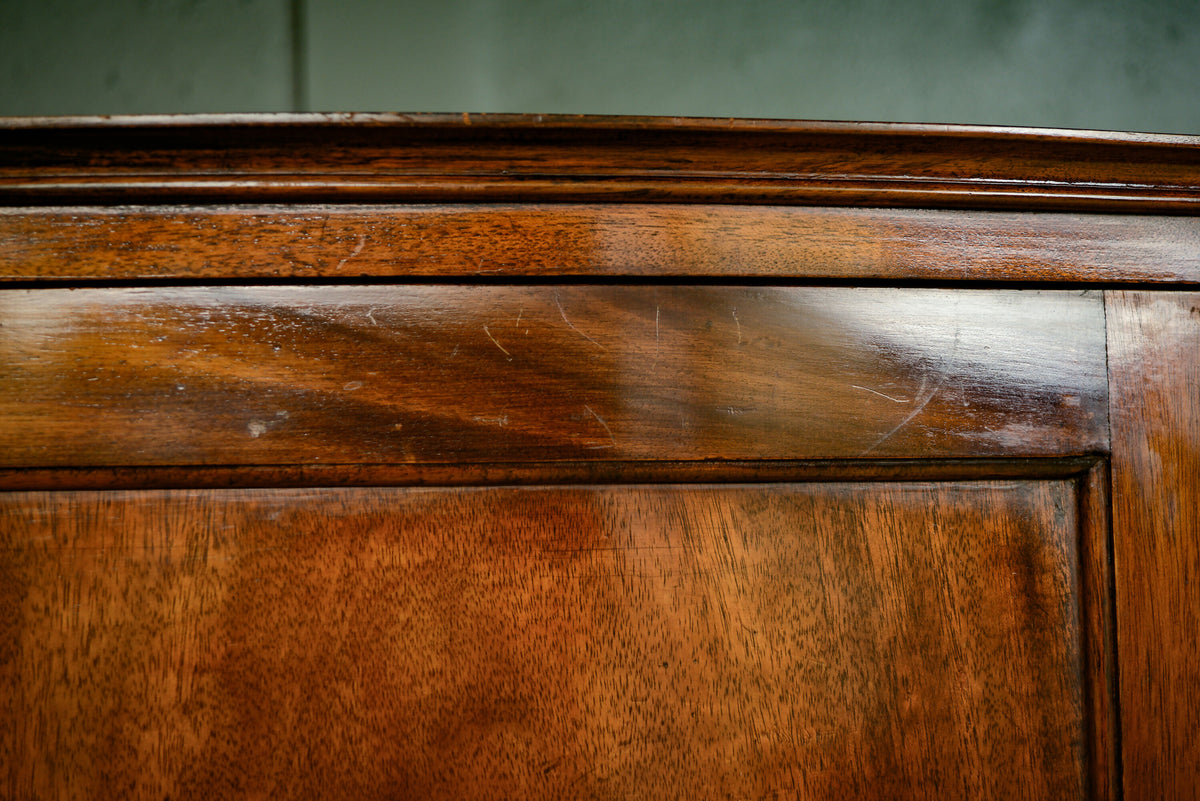 Georgian Mahogany Hall Robe / Single Wardrobe / Coat Storage