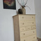 Stag Minstrel Tallboy