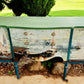 Photoroom_20250601_130109