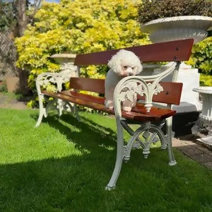 Garden Bench Pebble Grey Adorned with Sapele Planks