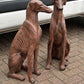 Life Size Pair Of Whippet / Greyhound Vintage Garden Statues.