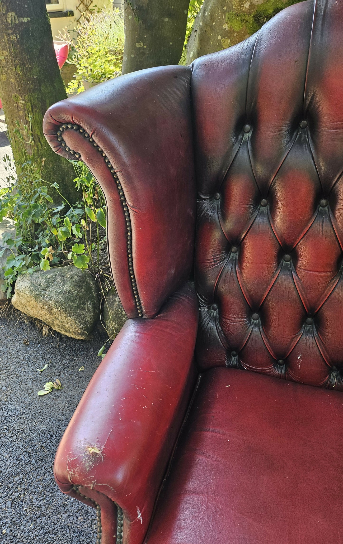 Vintage Oxblood Chesterfield Queen Anne Armchair High Back Button Back Well Worn