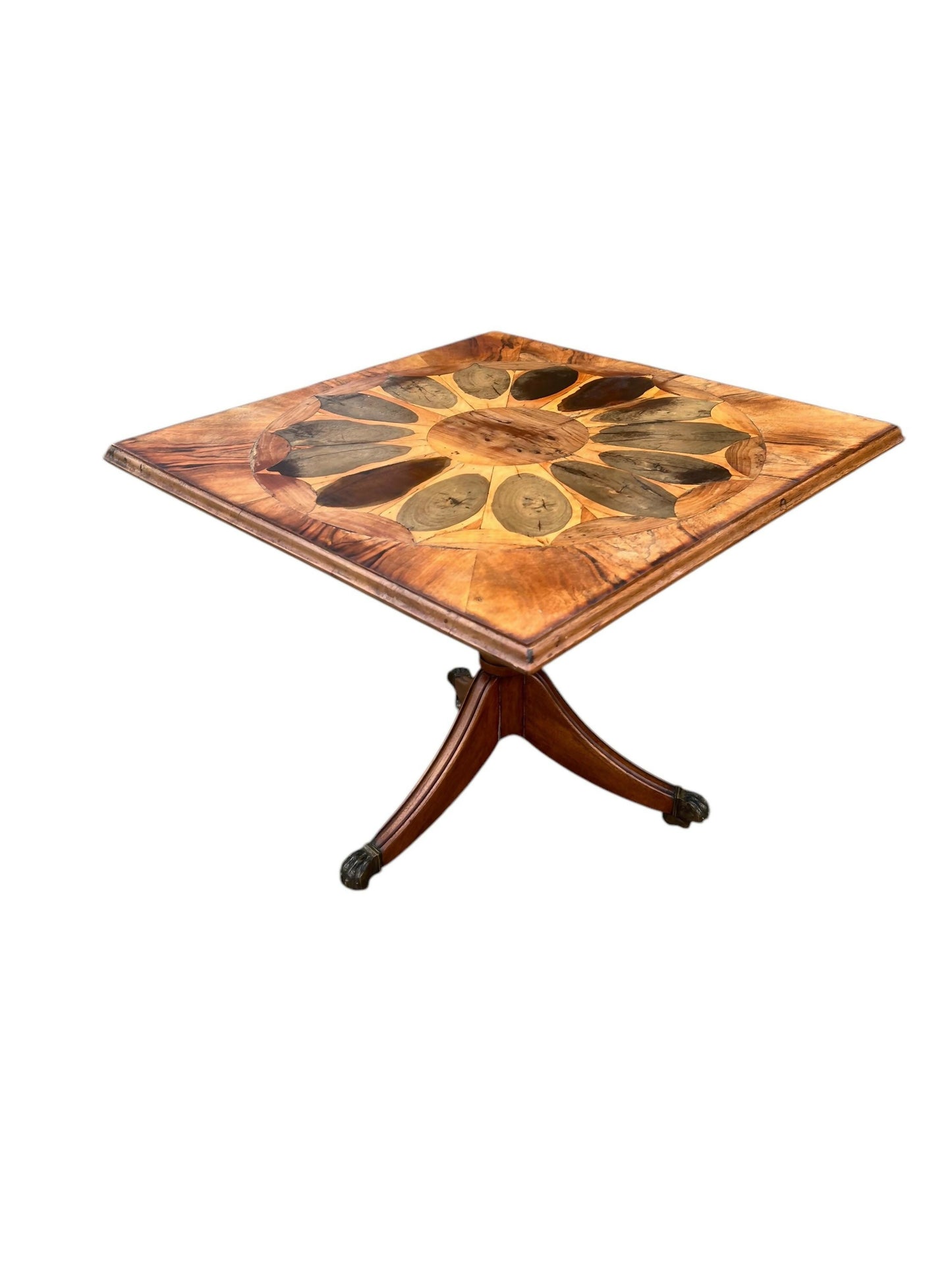 Vintage Yew Wood Oyster Specimen occasional table