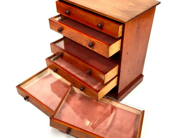 Antique Specimen Collectors Cabinet Chest of Drawers By James Gardner
