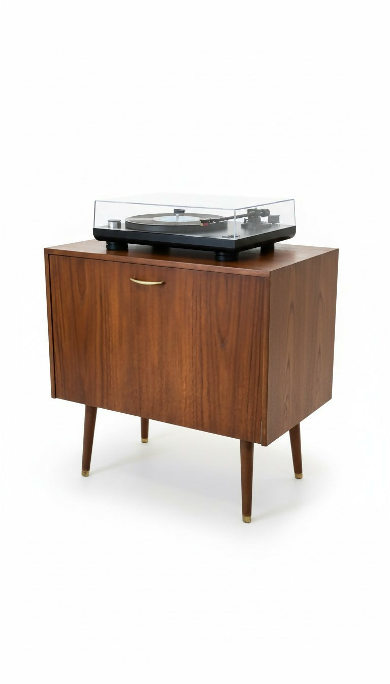 Mid Century Record Storage Cabinet