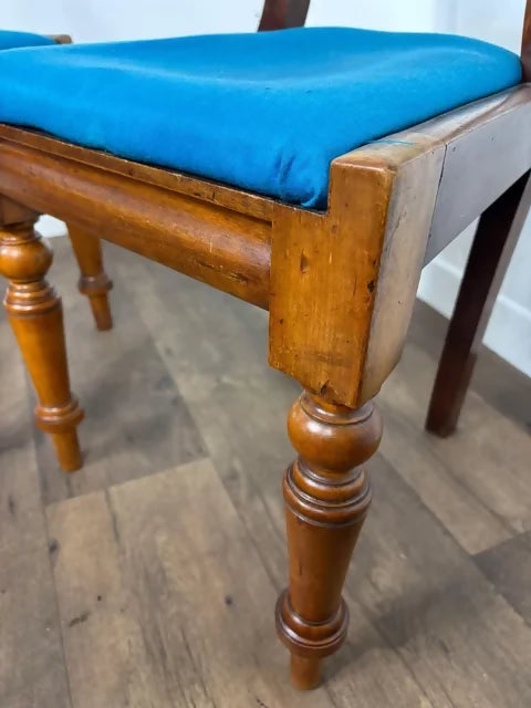 Victorian Pair of Mahogany Balloon Back Chairs