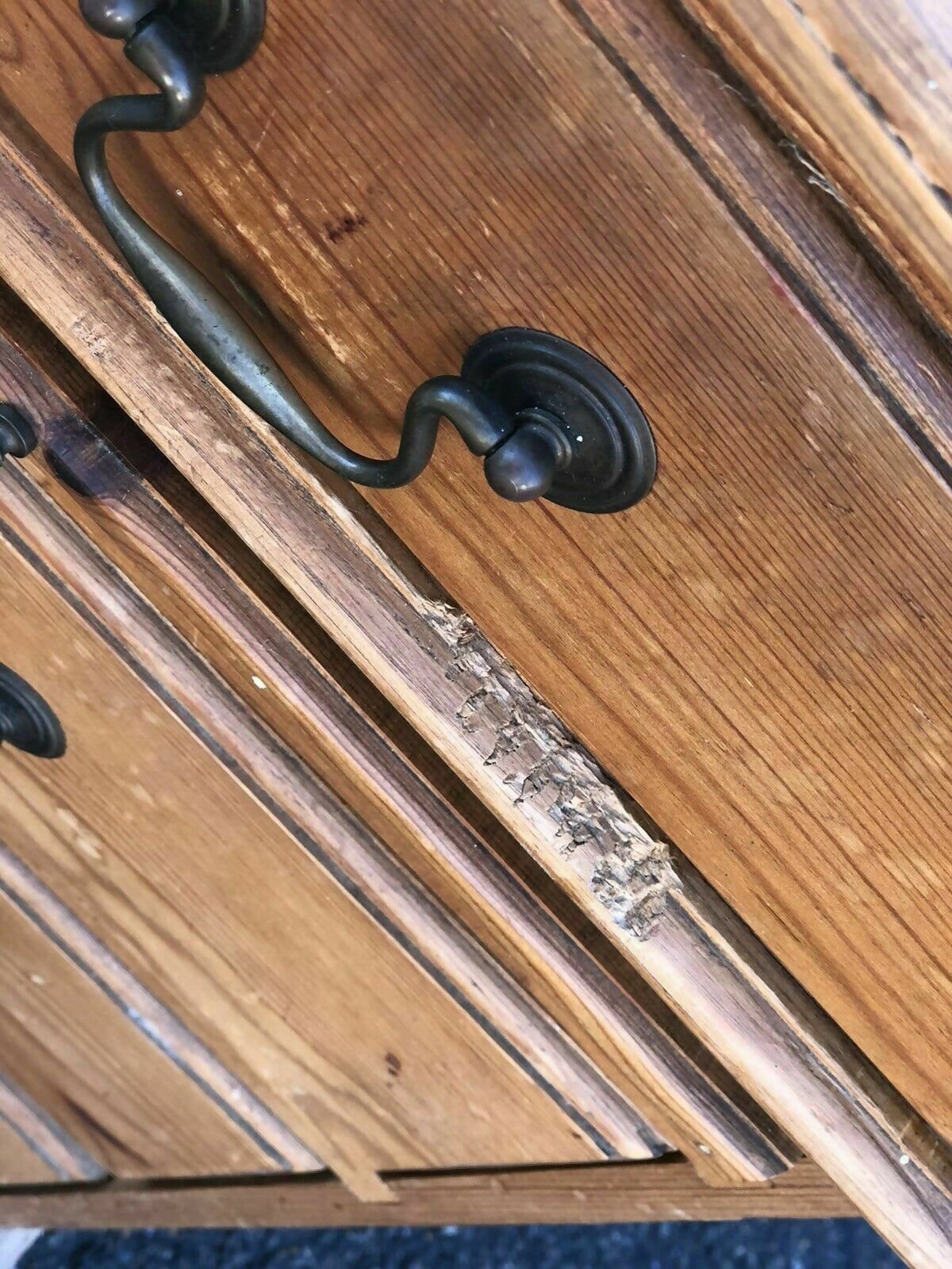 cIRPLJITHG