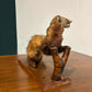 Taxidermy of A Pole Catere