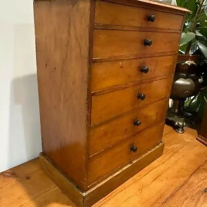 Antique Specimen Collectors Cabinet Chest of Drawers By James Gardner