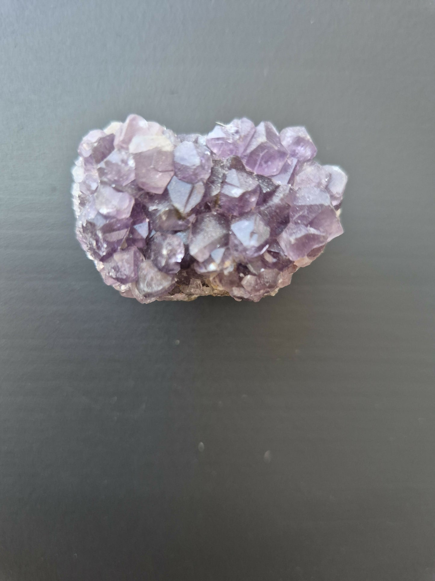 Gorgeous lingerie Tallboy