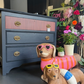 Navy and Coral Striped Chest