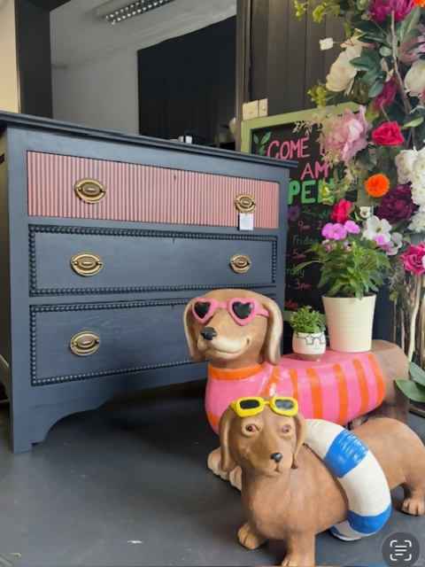 Navy and Coral Striped Chest
