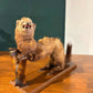 Taxidermy of A Pole Catcv