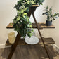 Rustic vintage style stepladder display