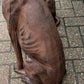 Life Size Pair Of Whippet / Greyhound Vintage Garden Statues.
