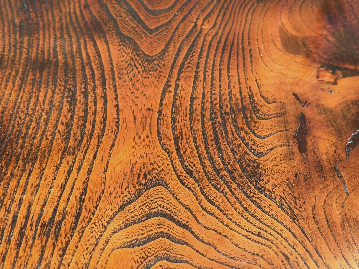 Elm Comb Back Windsor Chair