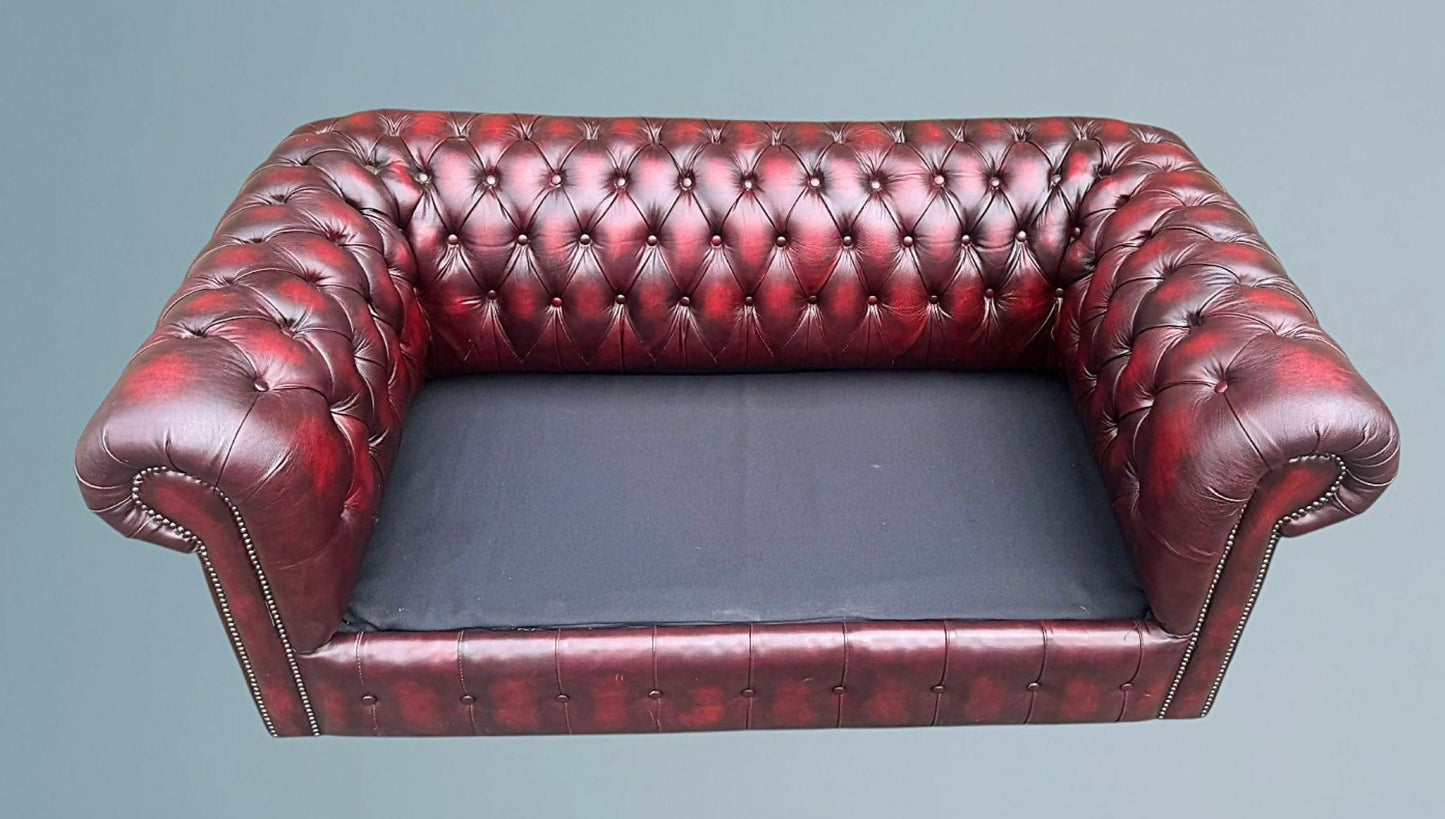 English Leather Chesterfield Sofa Bed / Settee