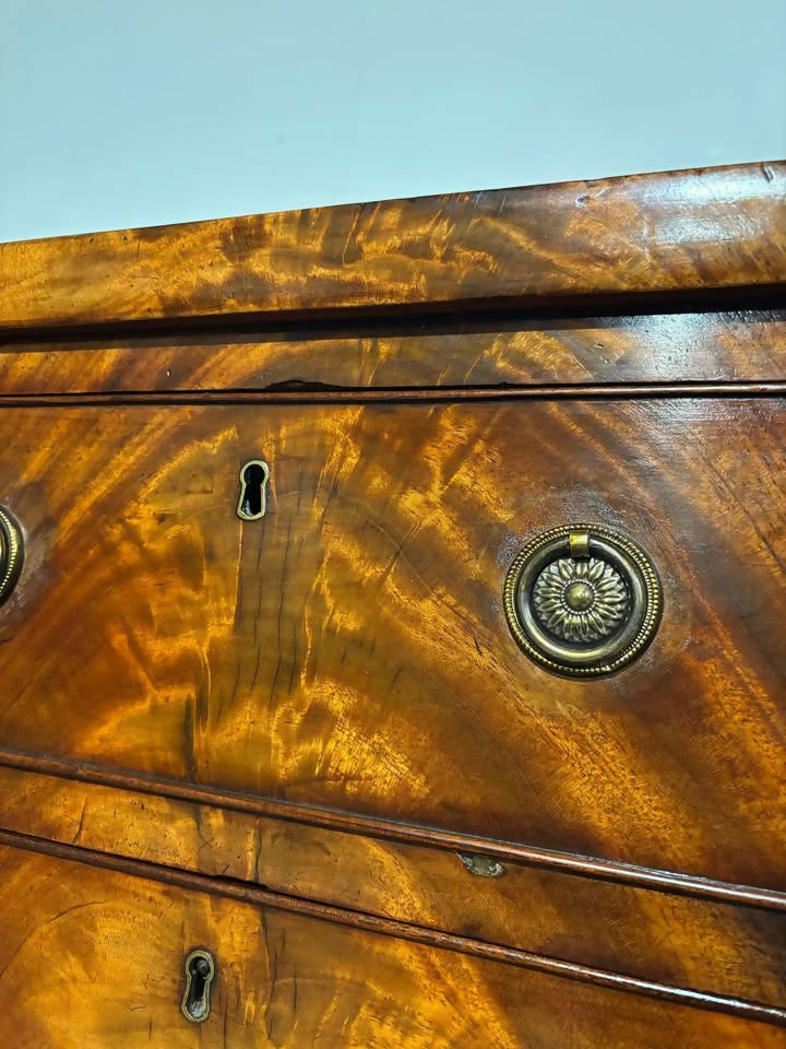 Victorian Mahogany Cabinet4