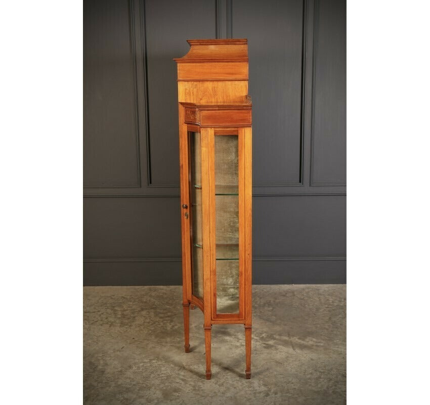 Vintage Edwardian Marquetry Inlaid Mahogany Glazed Display Cabinet