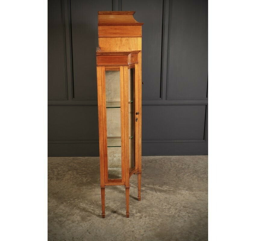 Vintage Edwardian Marquetry Inlaid Mahogany Glazed Display Cabinet