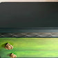 Green Vintage Lebus Chest of Drawers – Hand Painted Dresser