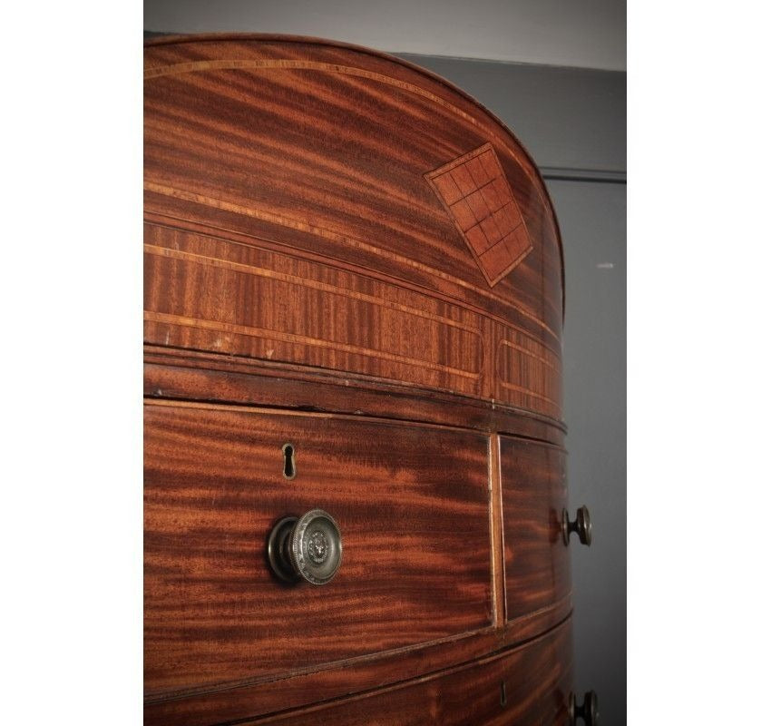 Rare Regency Bow Front Vintage Tallboy Chest On Chest