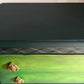 Green Vintage Lebus Chest of Drawers – Hand Painted Dresser