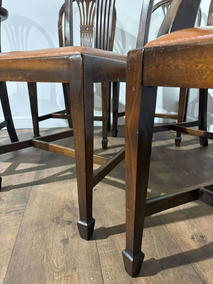 Set of Six Vintage Mahogany Dining Chairs - two of which are carvers.