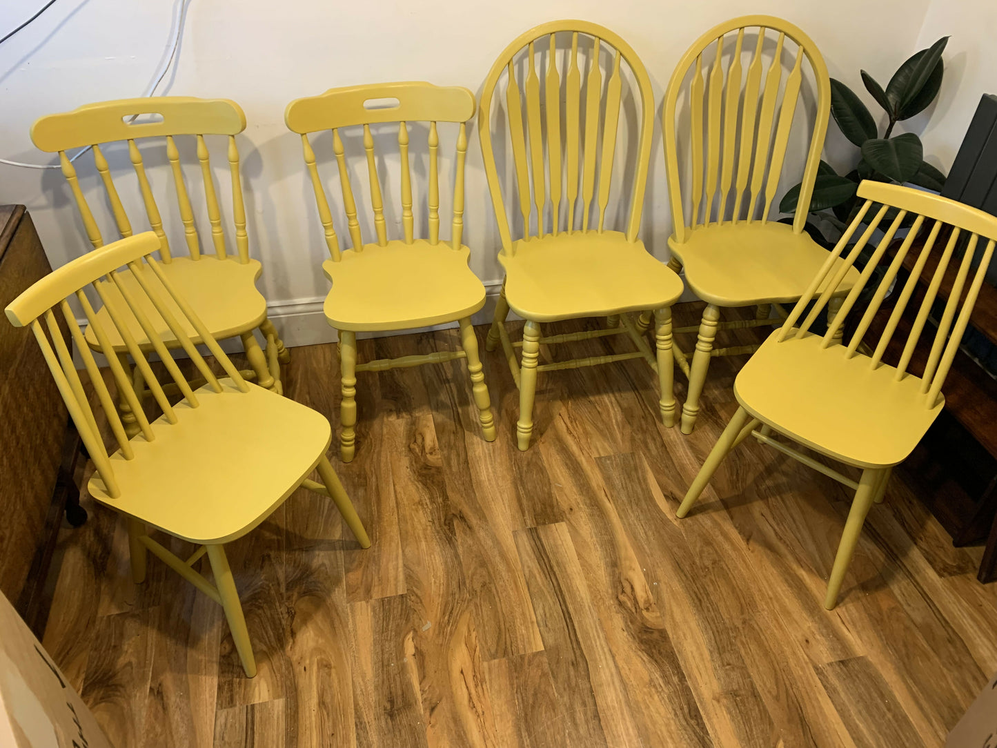 Hand Painted Multi Coloured Dining Chairs