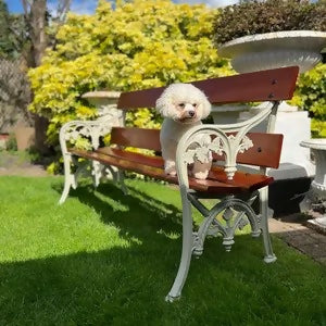 Garden Bench Pebble Grey Adorned with Sapele Planks