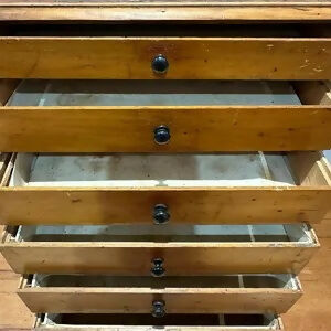 Antique Specimen Collectors Cabinet Chest of Drawers By James Gardner