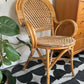 Mid Century Retro Vintage Bamboo Cane Chair