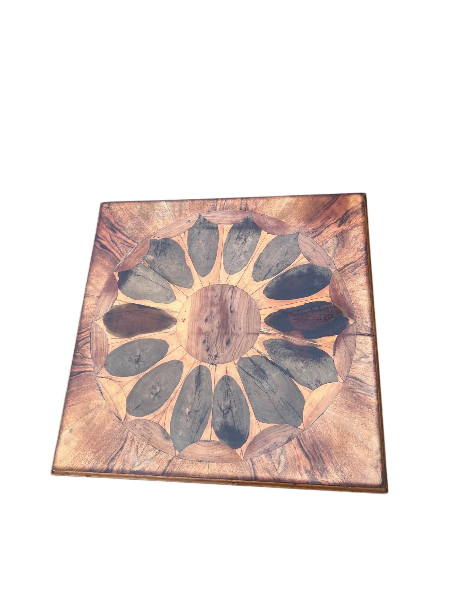 Vintage Yew Wood Oyster Specimen occasional table