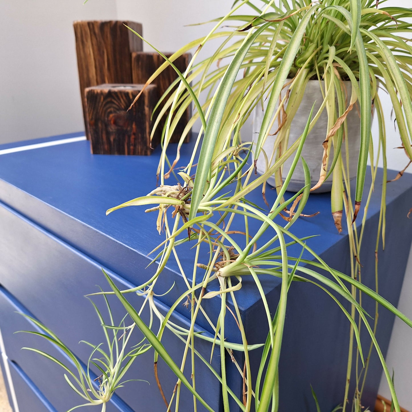 Small Simple Blue Chest Of Drawers With A White Stripe